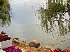 -大理洱海