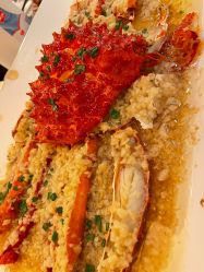 -新城花园酒店·宴会厅