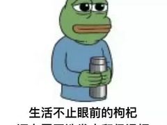 -老幺泉水鸡