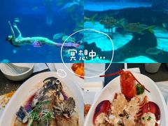 -三亚海棠湾喜来登度假酒店大堂吧