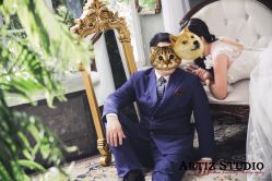 点击看大图 -THE QUEEN(北京店)