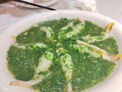 荠菜松茸烩黄鱼-老人和饭店(淮海中路店)