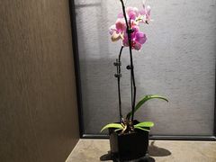 -北京三里屯CHAO酒店