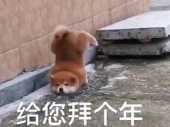 -琼菜王(南海店)