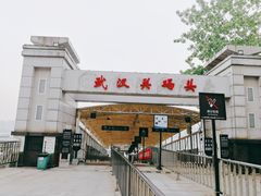 -武汉关码头(轮渡站)