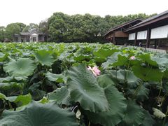 -千龙湖生态旅游度假区