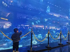 -成都浩海立方海洋公园