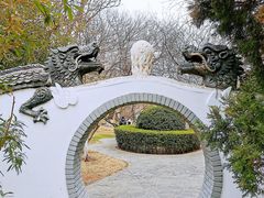 -桃花堤公园