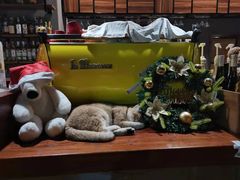 -咖法森林·咖啡  酒吧(天河店)