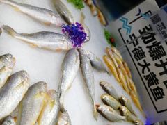 -盒马渔市(平高企业集团·平高广场店)