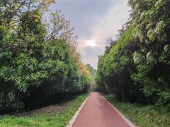 -洛阳市隋唐城遗址植物园