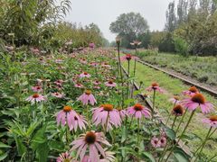 -永定河休闲森林公园