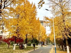 -同庆楼(天鹅酒家店)