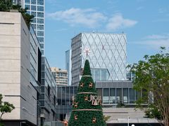 -深圳湾万象城(南山店)