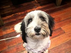 -妈妈菜舟山海鲜(定海古城店)