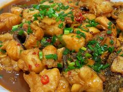 -全乐鱼馆·淳牌有机鱼直营店