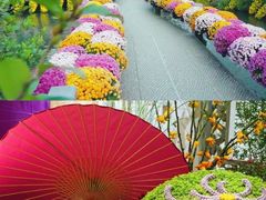 -杭州植物园