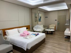 -爱帝宫月子中心(罗湖别墅院)