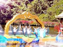 -西双版纳原始森林公园