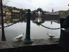 -茵特拉根酒店·西餐厅