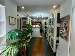 -青奢宠物·青奢猫舍