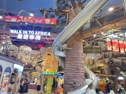 -卡通尼·Safari非洲探索乐园·生日会(金桥国际商业广场店)