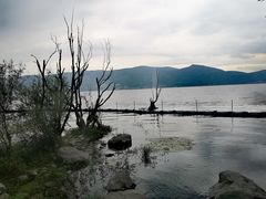 -才村湿地公园