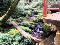 -海南热带雨林国家公园吊罗山景区