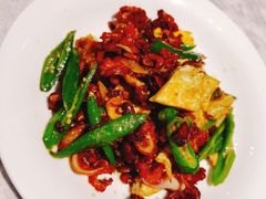 -天辣(金桥啦啦宝都店)