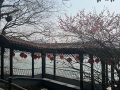 -天目湖山水园