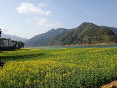 -新安江山水画廊风景区