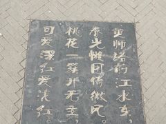 -桃花堤公园