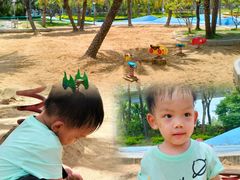 -宝安西湾红树林湿地公园