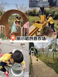-前小桔亲子创意农场·草莓采摘·露营烧烤