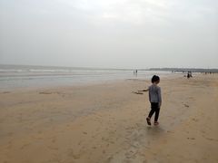 -日照海滨国家森林公园