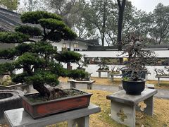-成都杜甫草堂博物馆
