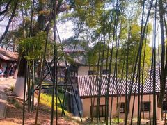 -岳麓山风景名胜区