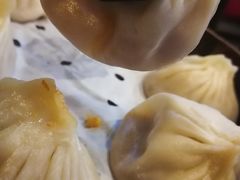 鲜肉小笼-大龙汤包