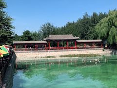 -尚庄度假村·庭台树下·户外烧烤·团建CS·轰趴营地(上庄水库店)
