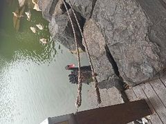 -上海怡沁园度假酒店