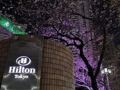 -东京希尔顿酒店