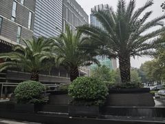 -紫峰大厦