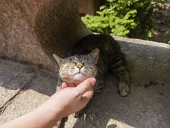 -崂山九水游览区