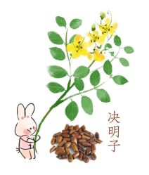 -雅曼妮spa美容养生