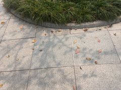 -苏州独墅湖世尊酒店