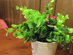 -SPR COFFEE(兴正元店)