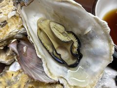 海鲜拼盘-老家黄墩小错鸡·活海鲜