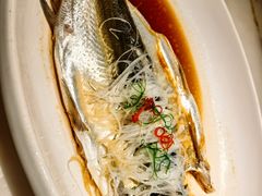 传统清蒸大白鱼-淮扬府(安定门店)