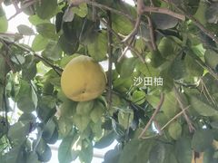 -国家植物园南园