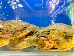 -小城味道(聚成大厦店)